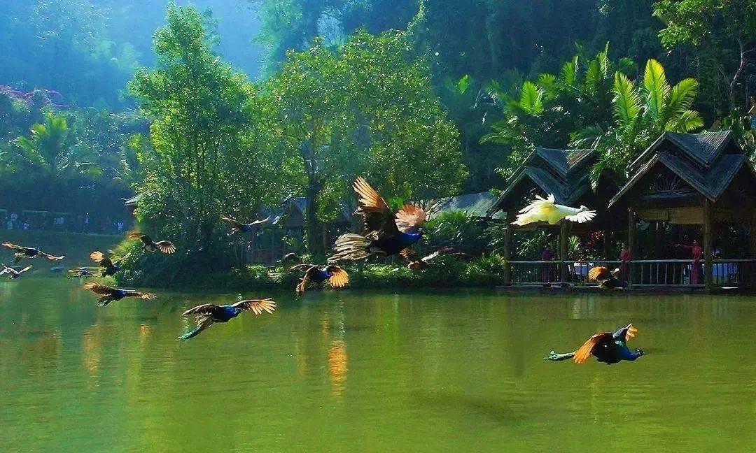 你知道世界上最倒霉的人是谁吗？游戏画面